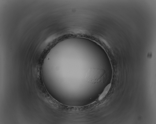 X0000093481016200710191202