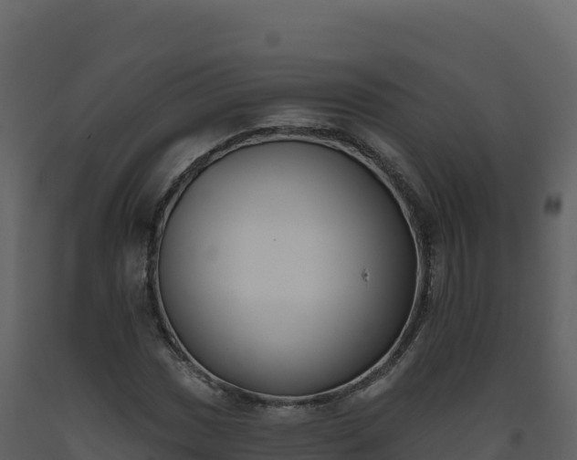 X0000093481017200710191202