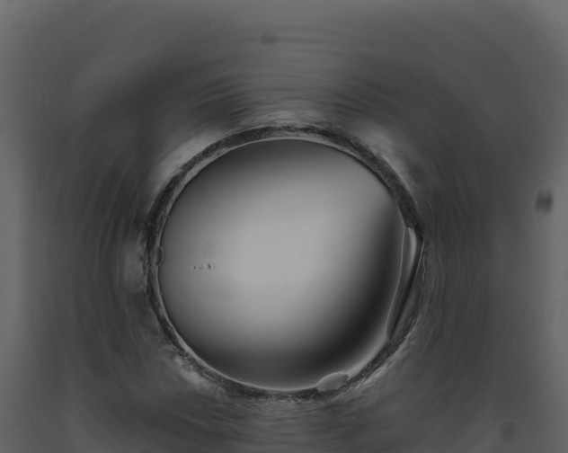 X0000093481018200710191202