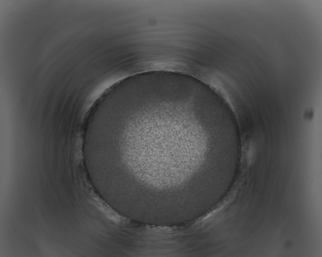 X0000093481019200710191202