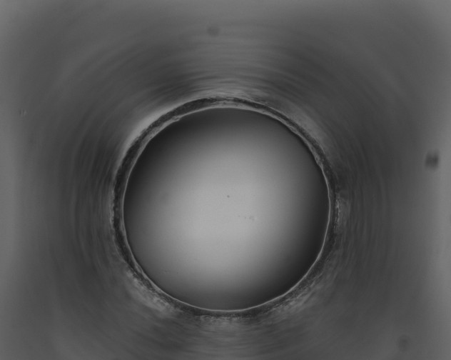 X0000093481020200710191202