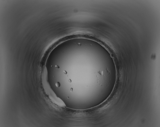 X0000093481021200710191202