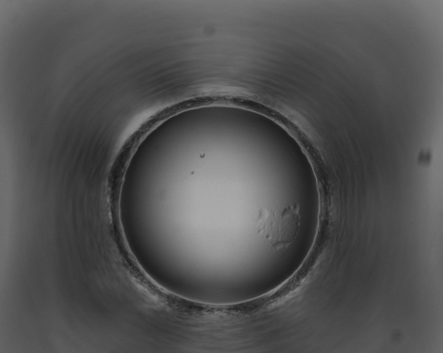 X0000093481022200710191202