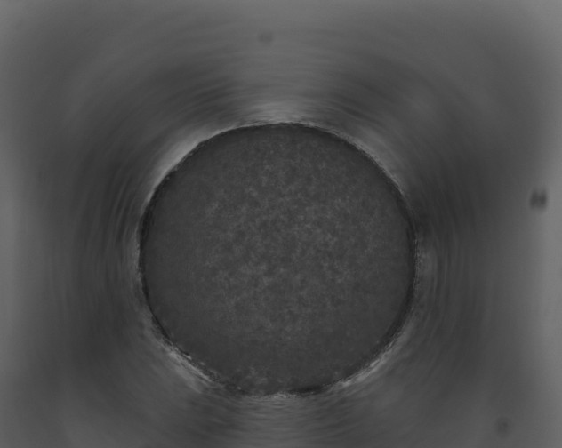 X0000093481023200710191202