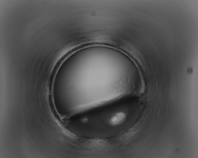 X0000093481024200710191202