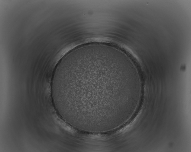 X0000093481025200710191202