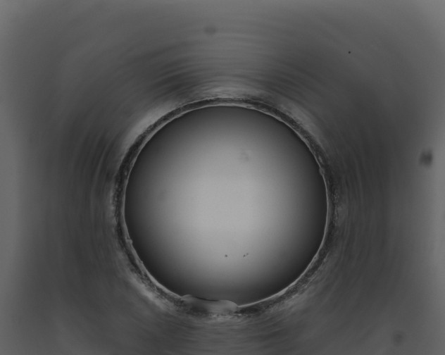 X0000093481026200710191202