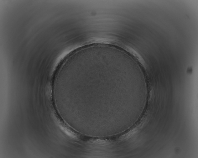 X0000093481027200710191202