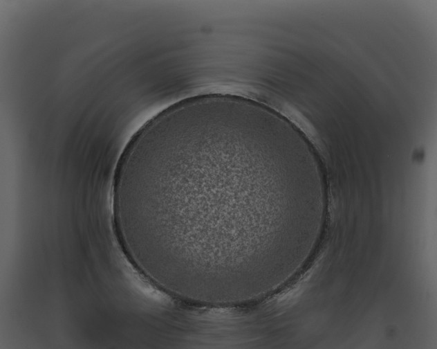 X0000093481028200710191202