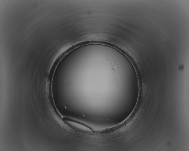 X0000093481029200710191202