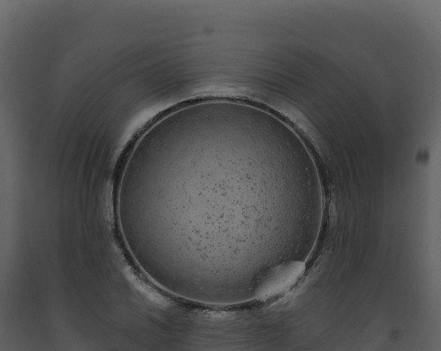 X0000093481030200710191202