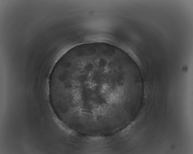 X0000093481031200710191202
