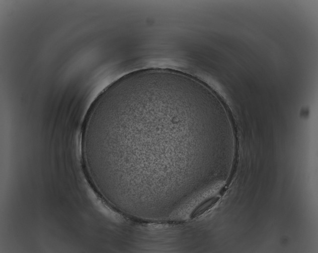 X0000093481032200710191202
