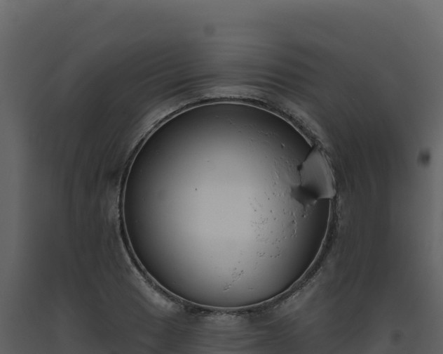 X0000093481033200710191202