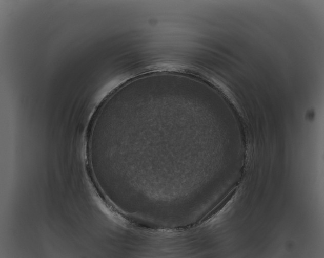X0000093481034200710191202