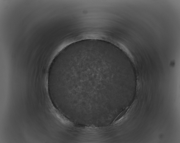 X0000093481035200710191202