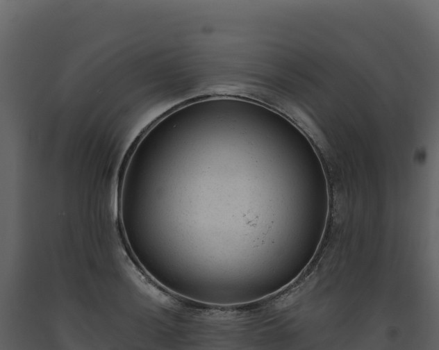 X0000093481036200710191202