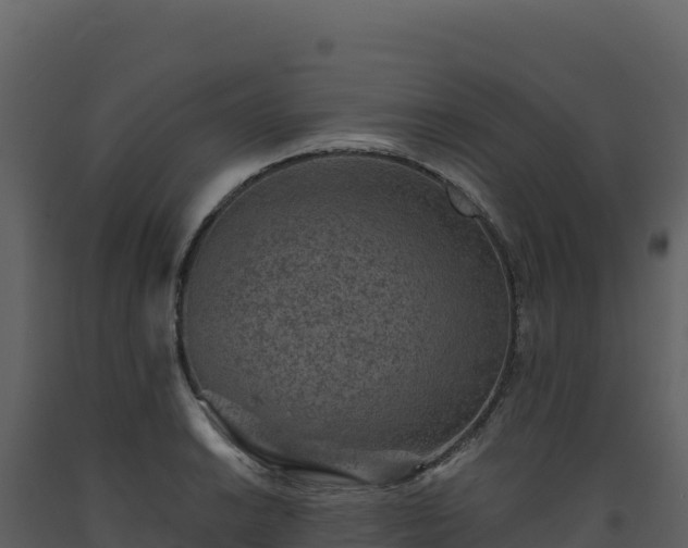 X0000093481038200710191202