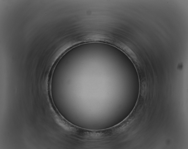 X0000093481039200710191202