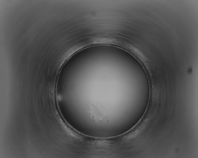 X0000093481041200710191202