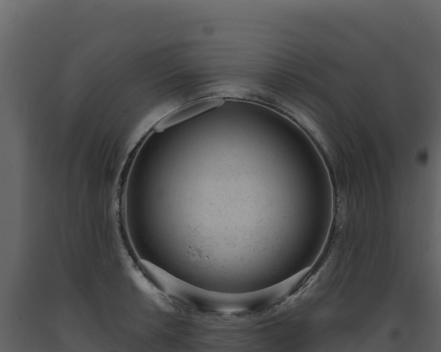 X0000093481042200710191202