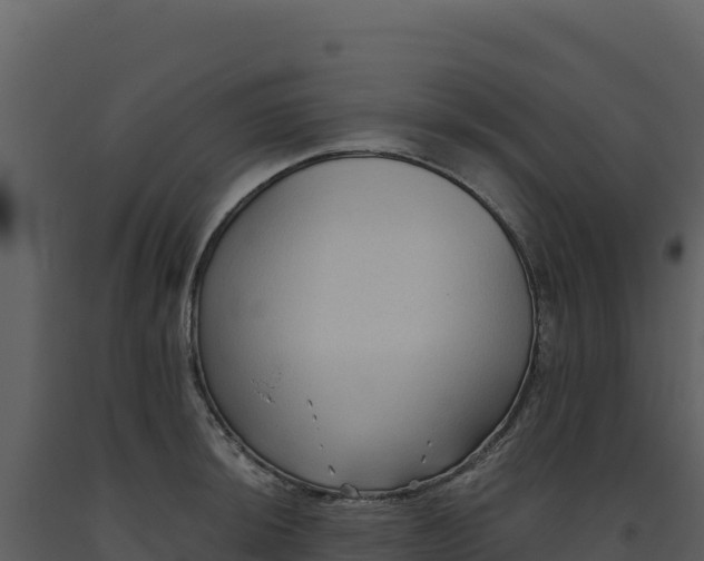 X0000093481044200710191202