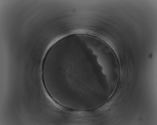 X0000093481045200710191202
