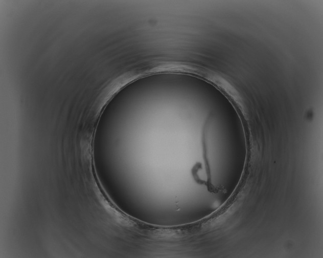 X0000093481049200710191202