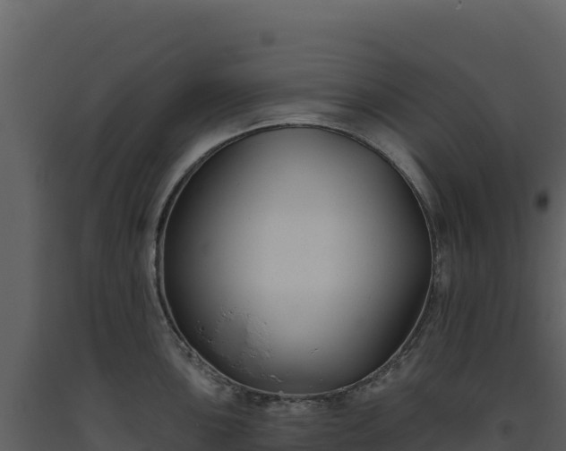 X0000093481051200710191202