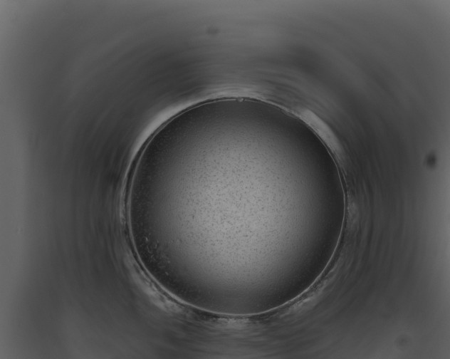X0000093481052200710191202