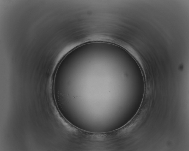X0000093481053200710191202