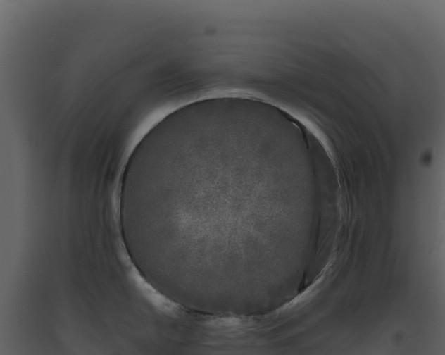 X0000093481054200710191202