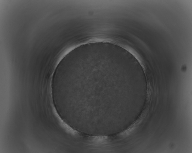 X0000093481055200710191202