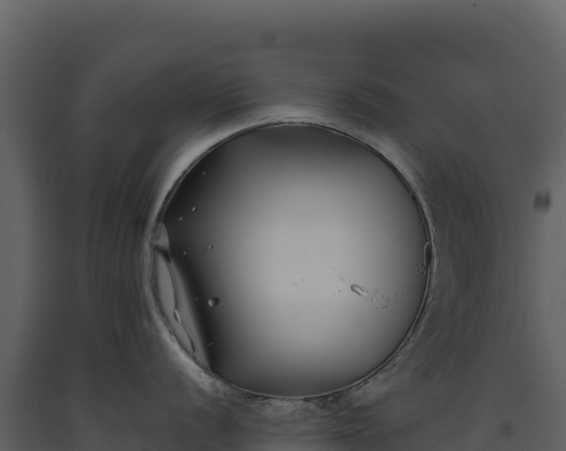 X0000093481056200710191202