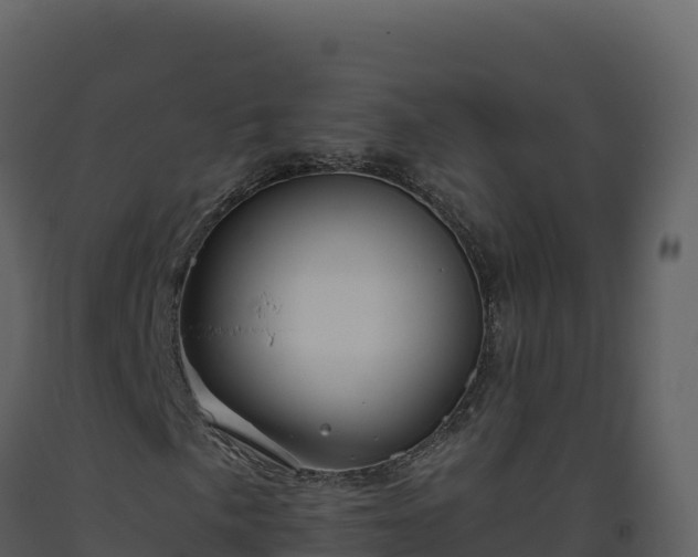 X0000093481057200710191202
