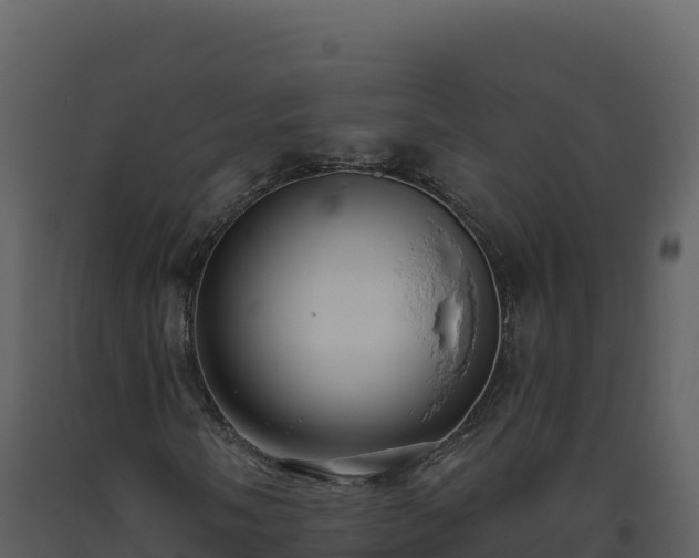 X0000093481058200710191202