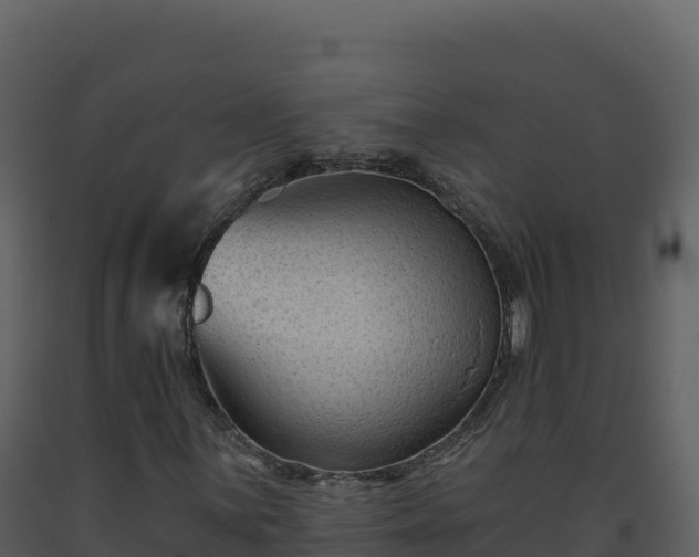 X0000093481059200710191202
