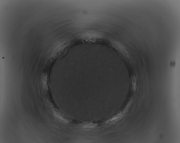 X0000093481060200710191201
