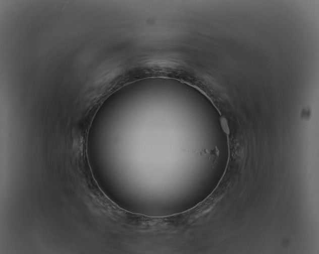 X0000093481061200710191201
