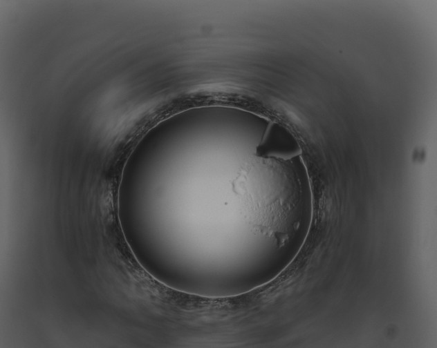 X0000093481062200710191201