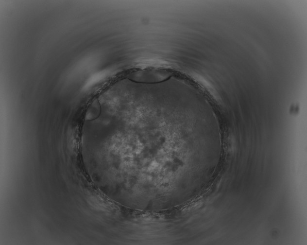 X0000093481063200710191201