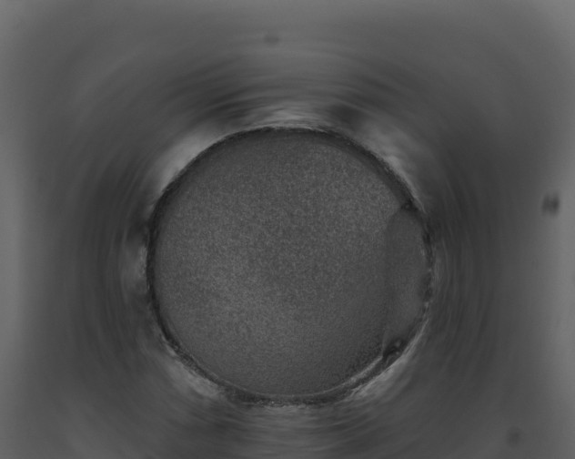X0000093481066200710191201