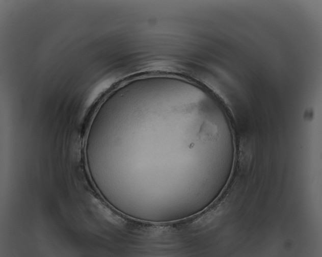 X0000093481067200710191201