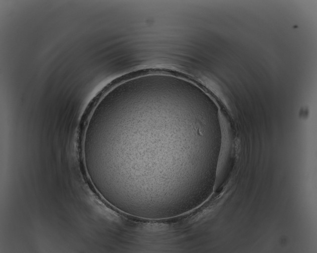 X0000093481068200710191201