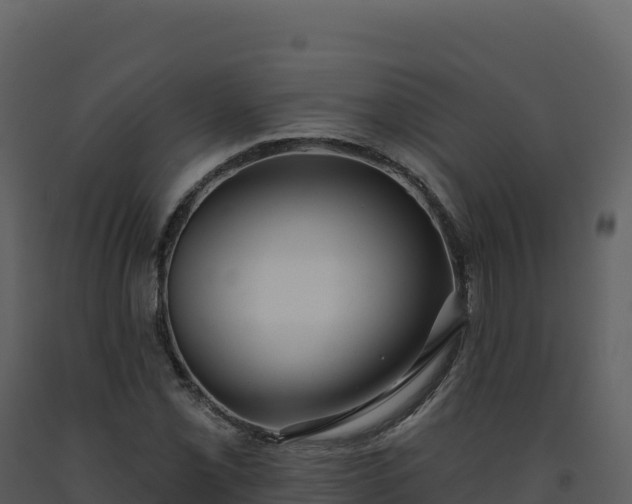 X0000093481069200710191201