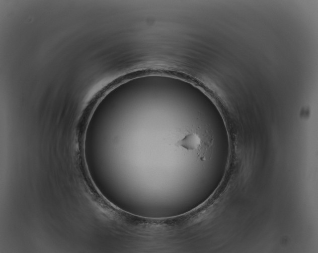 X0000093481070200710191201