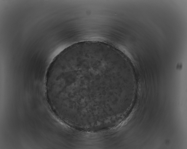 X0000093481071200710191201