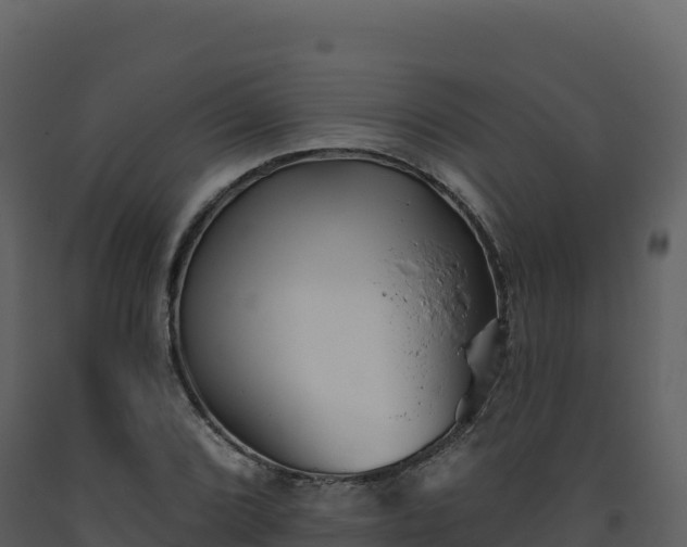 X0000093481072200710191201