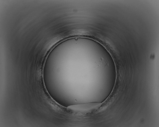 X0000093481073200710191201