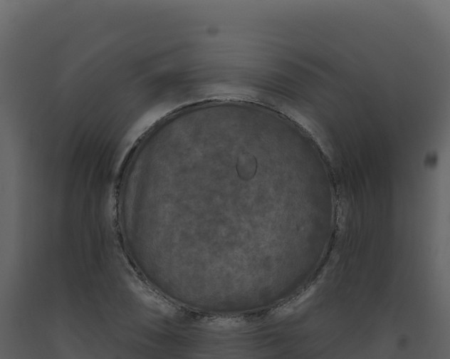 X0000093481074200710191201